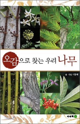 오감으로 찾는 우리 나무