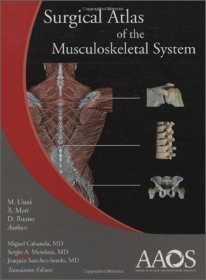 Surgical Atlas Of The Musculoskeletal System