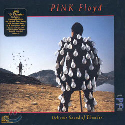 Pink Floyd - Live Delicate Sound Of Thunder