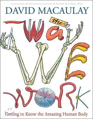 The Way We Work: Getting to Know the Amazing Human Body