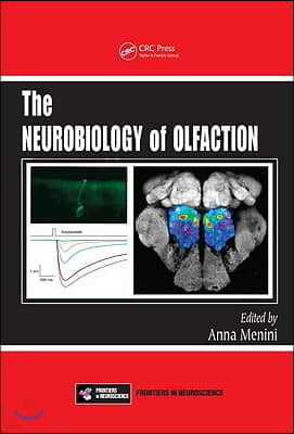 Neurobiology of Olfaction