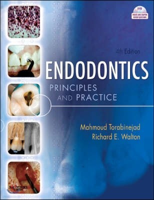 Endodontics, 4/E