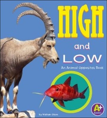 High and Low