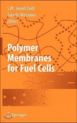 Polymer Membranes for Fuel Cells
