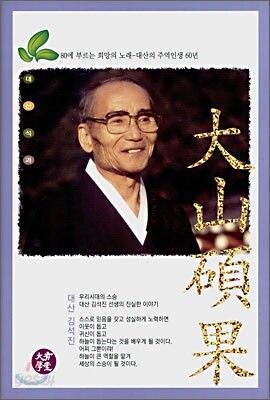 대산석과