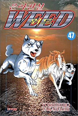 은아전설 WEED 위드 47