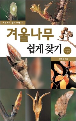 겨울나무 쉽게 찾기