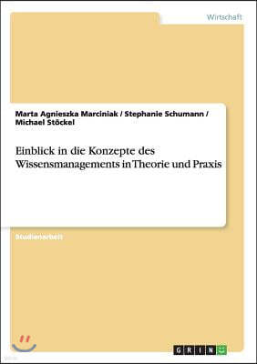 Einblick in Die Konzepte Des Wissensmanagements in Theorie Und Praxis