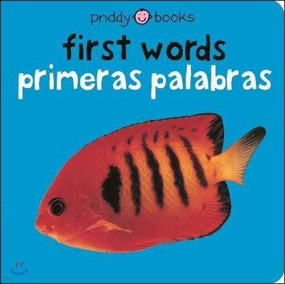 Bilingual Bright Baby First Words / Primeras Palabras: Primeras Palabras