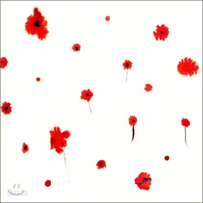 루시드 폴 (Lucid Fall) 3집 - 국경의 밤