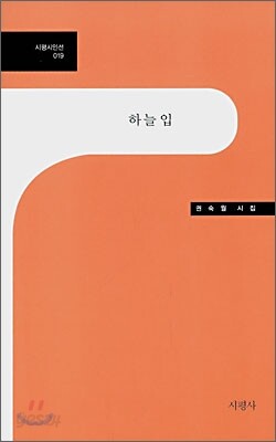 하늘 입