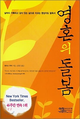 영혼의 돌봄