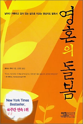 영혼의 돌봄