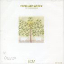 Eberhard Weber - The Following Morning