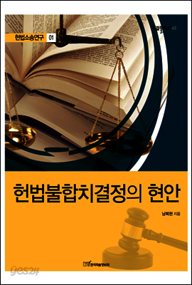 헌법불합치결정의 현안