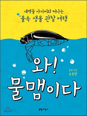 와! 물맴이다