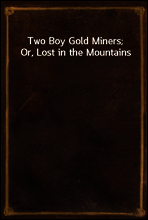 Two Boy Gold Miners; Or, Lost in the Mountains