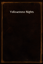 Yellowstone Nights