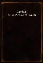 Camilla; or, A Picture of Youth
