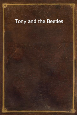 Tony and the Beetles
