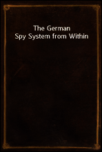 The German Spy System from Within