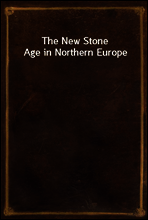 The New Stone Age in Northern Europe