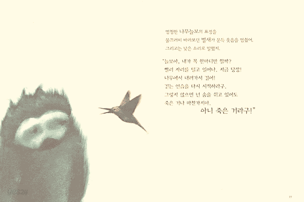 게으름뱅이 나무늘보 우화