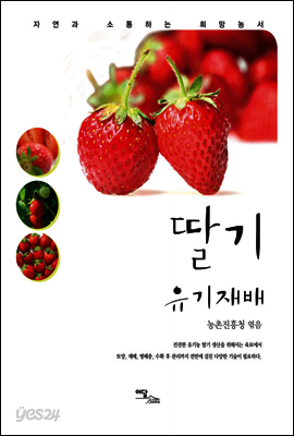 딸기 유기재배