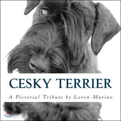 Cesky Terrier: A Pictorial Tribute