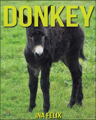 Donkey: Children Book of Fun Facts & Amazing Photos on Animals in Nature - A Wonderful Donkey Book for Kids aged 3-7