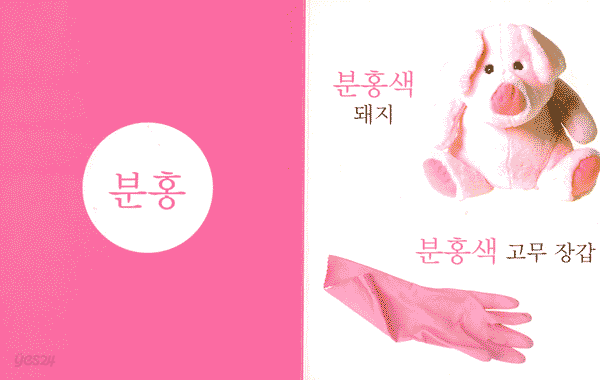 눈에 쏙 색깔