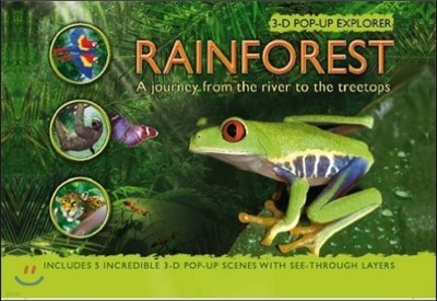 Rainforest : 3-D Pop-up Explorer