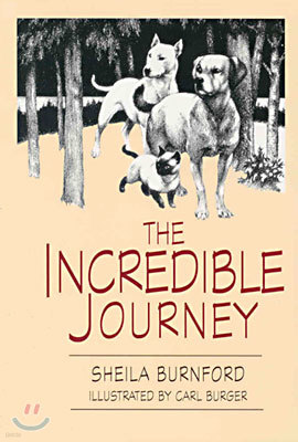 The Incredible Journey