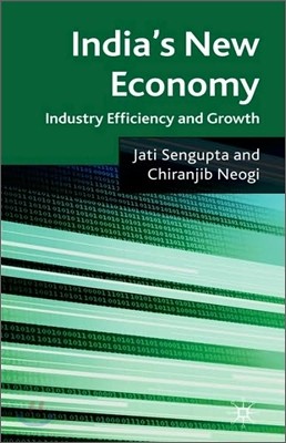 India's New Economy: Industry Efficiency and Growth