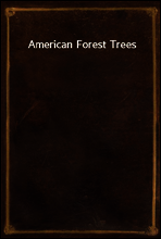American Forest Trees