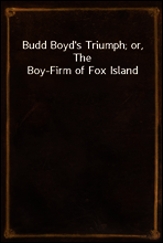 Budd Boyd`s Triumph; or, The Boy-Firm of Fox Island