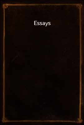 Essays