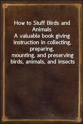 How to Stuff Birds and Animals
A valuable book giving instruction in collecting, preparing,
mounting, and preserving birds, animals, and insects