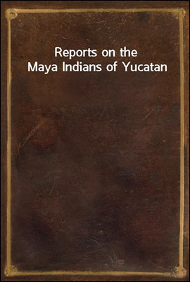 Reports on the Maya Indians of Yucatan