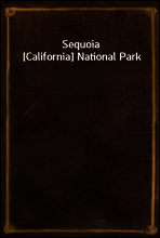 Sequoia [California] National Park