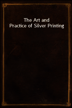 The Art and Practice of Silver Printing