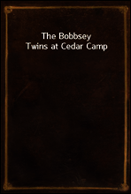 The Bobbsey Twins at Cedar Camp