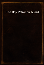 The Boy Patrol on Guard