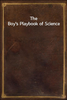 The Boy`s Playbook of Science