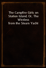The Campfire Girls on Station Island; Or, The Wireless from the Steam Yacht
