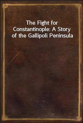 The Fight for Constantinople