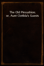 The Old Pincushion; or, Aunt Clotilda`s Guests