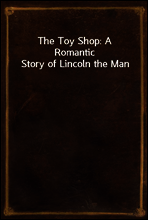 The Toy Shop
