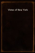 Vistas of New York
