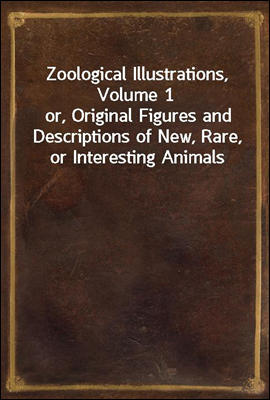 Zoological Illustrations, Volume 1
or, Original Figures and Descriptions of New, Rare, or Interesting Animals